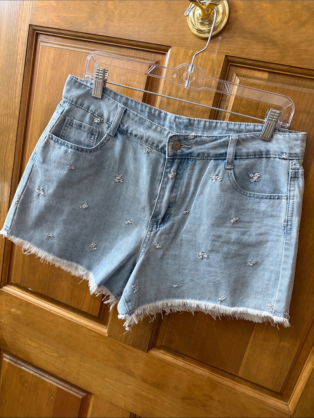 Light Blue Embroidered Denim Shorts - Women